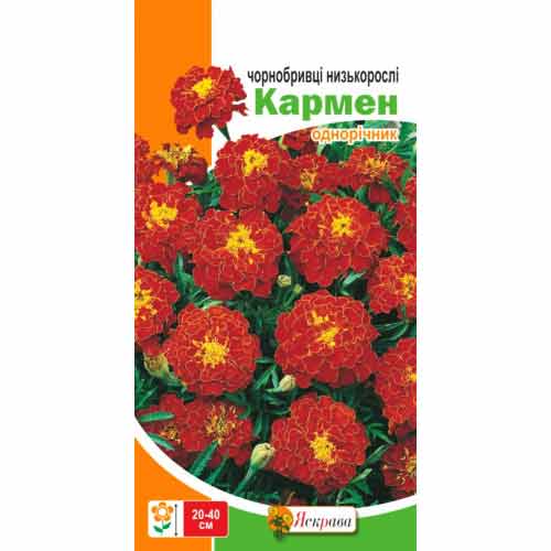 Бархатцы низкорослые Кармен красные Яскрава рисунок 1 артикул 66298