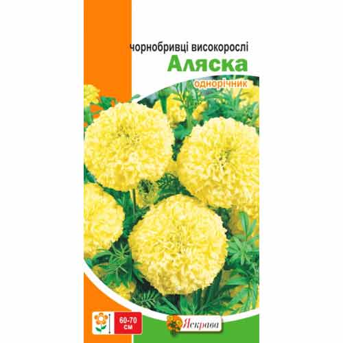 Бархатцы Аляска Яскрава артикул фото 1 Бархатцы Аляска Яскрава рисунок 1 артикул 72690