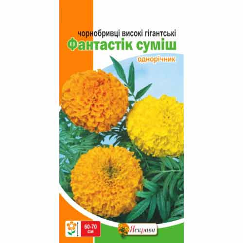 Чорнобривці Фантастік, суміш забарвлень Яскрава зображення 1 артикул 72677