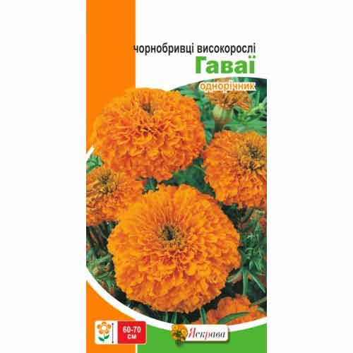 Чорнобривцi Гаваї Яскрава зображення 1 артикул 72692