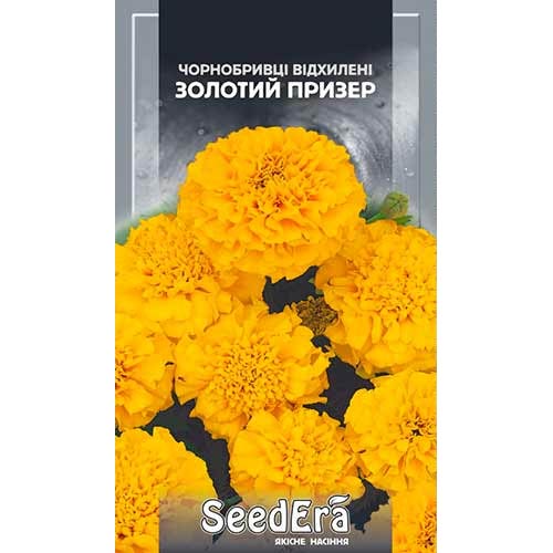 Чорнобривці Золотий Призер Seedera зображення 1 артикул 77133