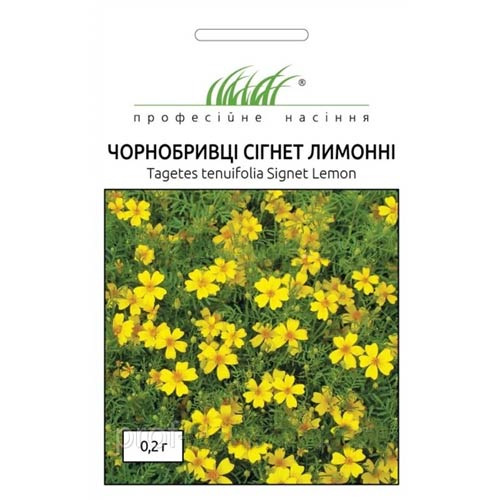 Бархтацы Сигнет лимонные Профессиональные семена рисунок 1 артикул 72687