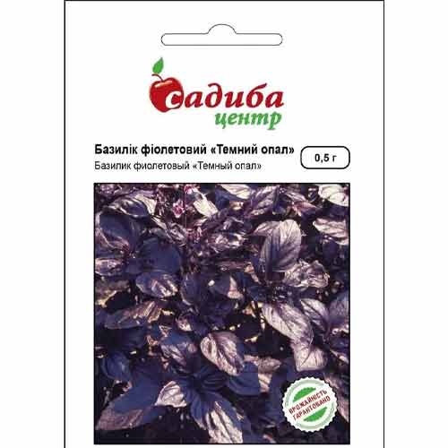 Базилік фіолетовий Темний опал Садиба центр зображення 1 артикул 89101
