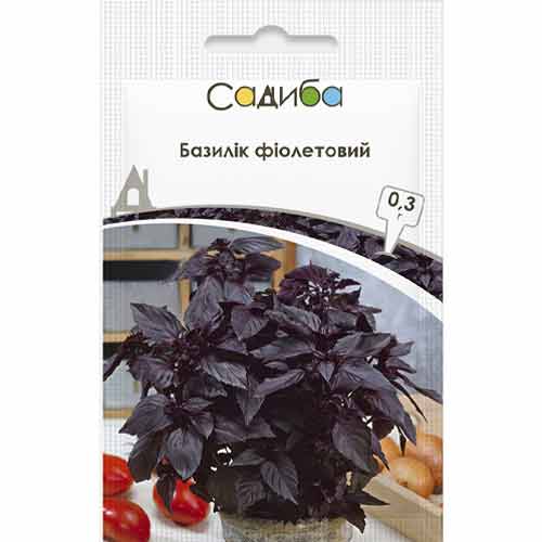 Базилік Фіолетовий Садиба центр зображення 1 артикул 89099