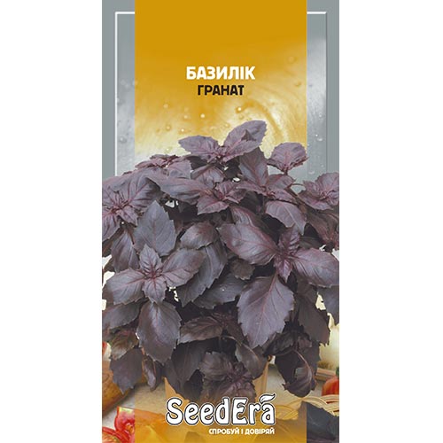 Базилік Гранат Seedera зображення 1 артикул 94999