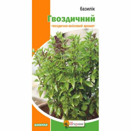 Базилик Гвоздичный Яскрава артикул фото 1 Базилик Гвоздичный Яскрава рисунок 1 артикул 99813