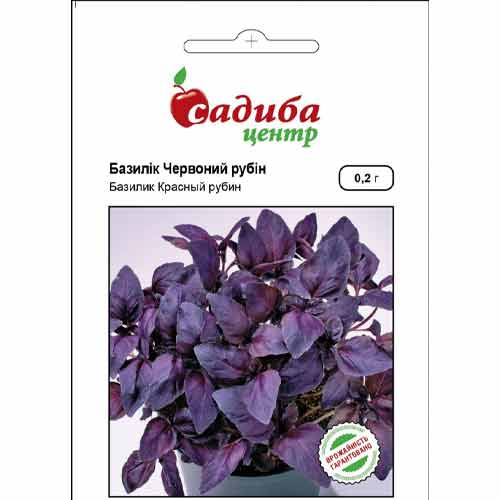 Базилік Червоний Рубін Садиба центр зображення 1 артикул 89102
