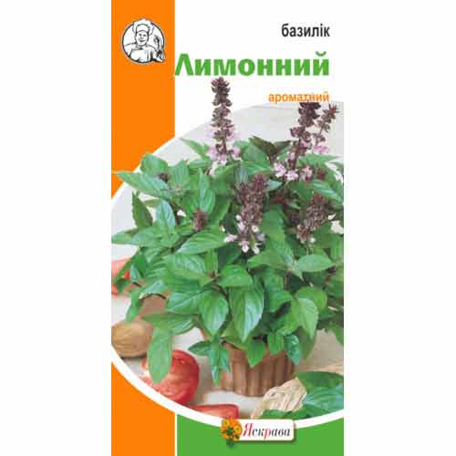 Базилік Лимонний Яскрава зображення 1 артикул 99812