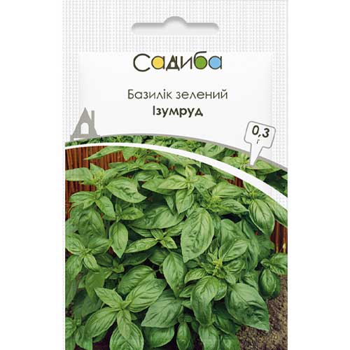 Базилік зелений Ізумруд Садиба центр артикул фото 1 Базилік зелений Ізумруд Садиба центр зображення 1 артикул 85990