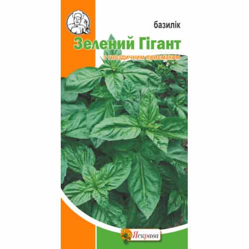 Базилiк Зелений гігант Яскрава артикул фото 1 Базилiк Зелений гігант Яскрава зображення 1 артикул 72065