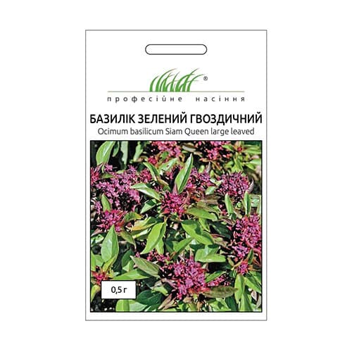 Базилік Гвоздичний Професійне насіння зображення 1 артикул 65485
