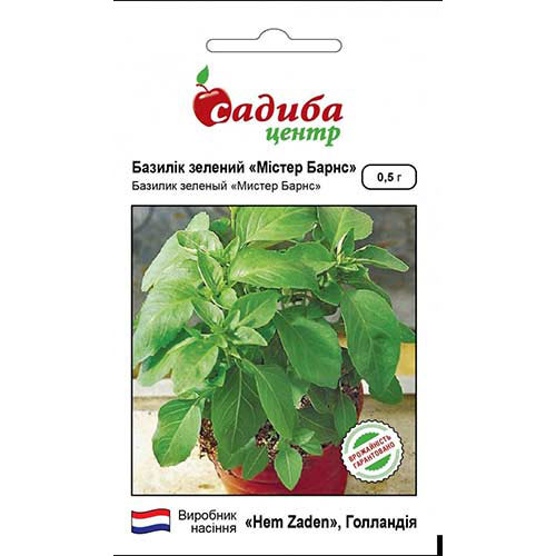 Базилік Містер Барнс Садиба центр зображення 1 артикул 89098