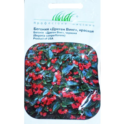 Бегония Дрегон Винг красная F1 Профессиональные семена рисунок 1 артикул 77151
