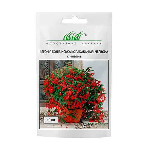 Бегония Копакабана красная F1 Профессиональные семена рисунок 1 артикул 87554