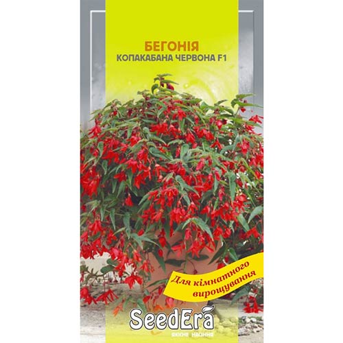 Бегонія Копакабана червона F1 Seedera зображення 1 артикул 72079