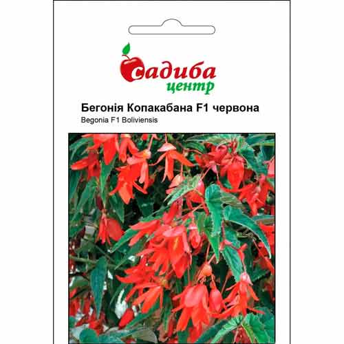 Бегония ампельная Копакабана красная F1 Садиба центр рисунок 1 артикул 89122