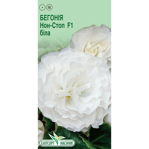 Бегония Нон-стоп белая F1 Элитсорт рисунок 1 артикул 90551