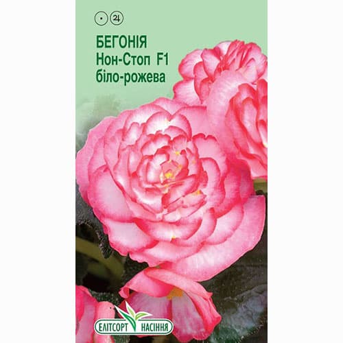 Бегонія Нон Стоп біло-рожева F1 Елітсорт зображення 1 артикул 90552