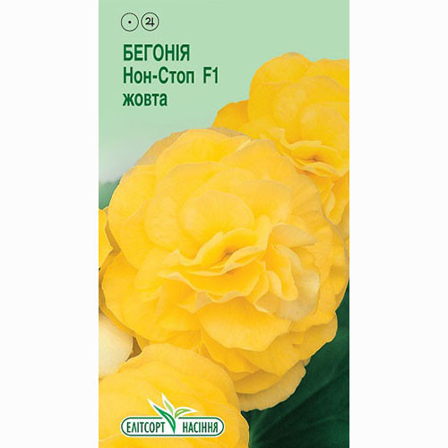 Бегонія Нон Стоп жовта F1 Елітсорт артикул фото 1 Бегонія Нон Стоп жовта F1 Елітсорт зображення 1 артикул 90553