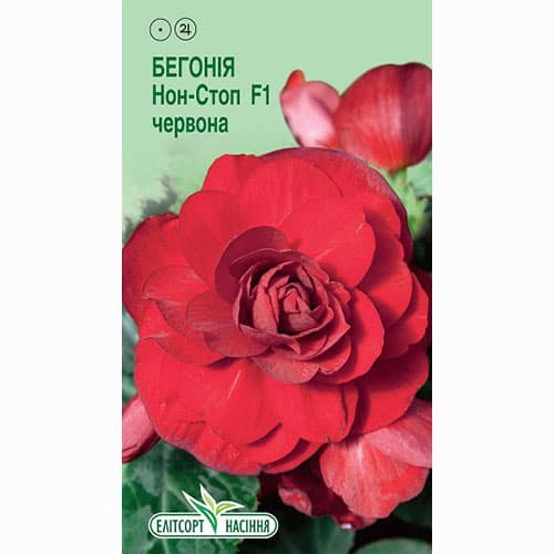 Бегонія Нон Стоп червона F1 Елітсорт зображення 1 артикул 90556