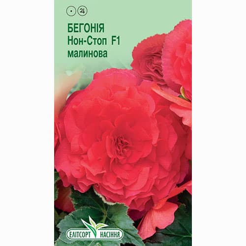 Бегонія Нон Стоп малинова F1 Елітсорт зображення 1 артикул 90554