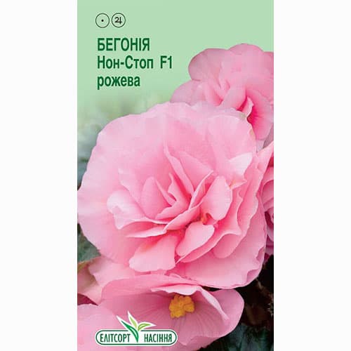 Бегония Нон-стоп розовая F1 Элитсорт артикул фото 1 Бегония Нон-стоп розовая F1 Элитсорт рисунок 1 артикул 90555