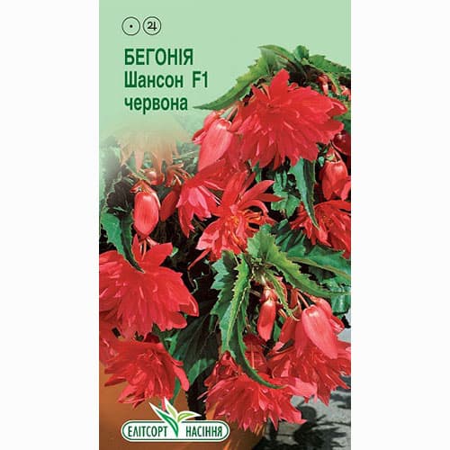 Бегония Шансон красная F1 Элитсорт рисунок 1 артикул 90839