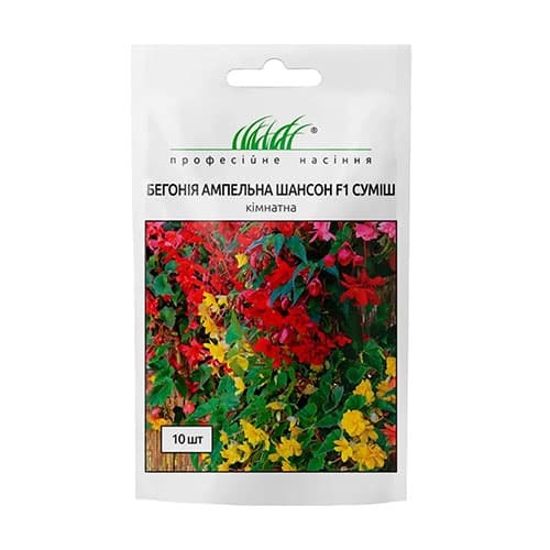 Бегонія Шансон F1, суміш забарвлень зображення 1 артикул 72891