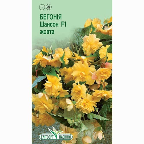 Бегония Шансон желтая F1 Элитсорт рисунок 1 артикул 90838