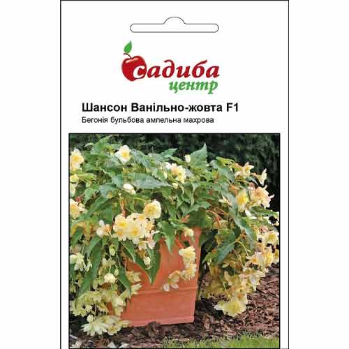 Бегонія ампельна Шансон ванільно-жовта F1 Садиба центр зображення 1 артикул 72956