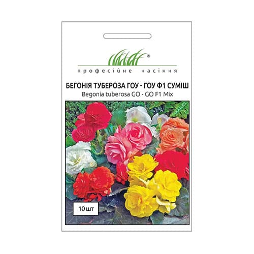 Бегонія Гоу-Гоу F1, суміш забарвлень Професійне насіння зображення 1 артикул 66205