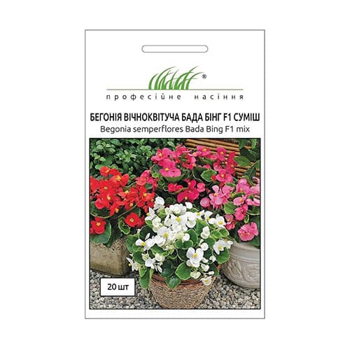 Бегония вечноцветущая Бада Бинг F1, смесь окрасок Профессиональные семена рисунок 1 артикул 66203