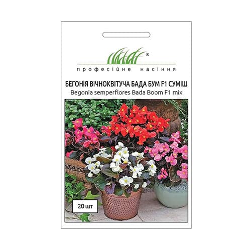 Бегония вечноцветущая Бада Бум F1, смесь окрасок Профессиональные семена рисунок 1 артикул 66204