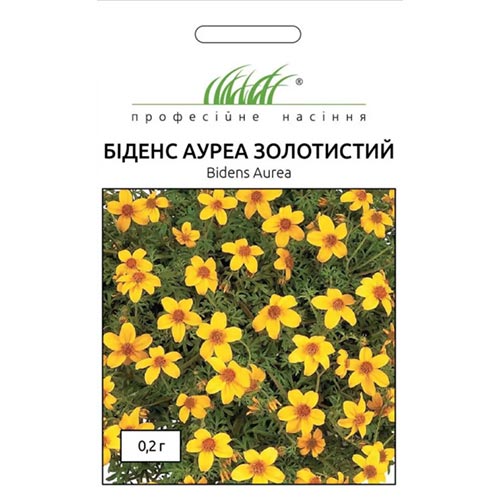 Біденс Ауреа Професійне насіння зображення 1 артикул 95138