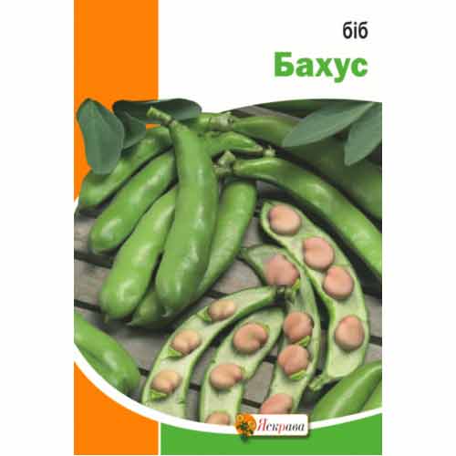 Боб великоплідний Бахус Яскрава зображення 1 артикул 99817