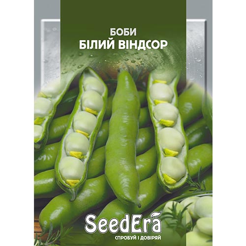 Бобы Белый Виндзор Seedera рисунок 1 артикул 95035