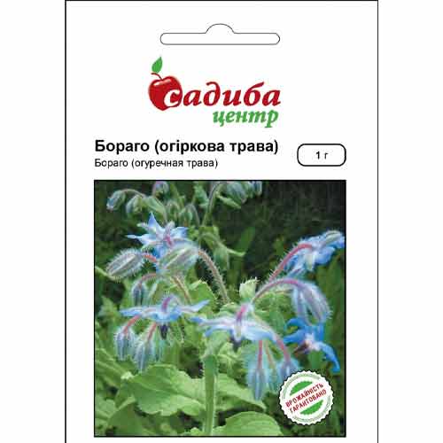 Бораго (огуречная трава) Садыба центр артикул фото 1 Бораго (огуречная трава) Садыба центр рисунок 1 артикул 89126
