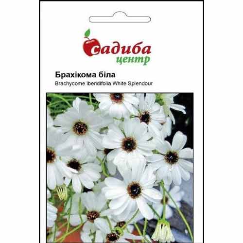 Брахікома біла Садиба центр зображення 1 артикул 72734