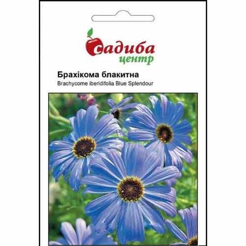 Брахикома голубая Садыба центр рисунок 1 артикул 72735