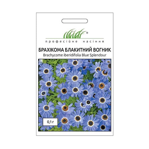 Брахікома Блакитний вогник зображення 1 артикул 72083