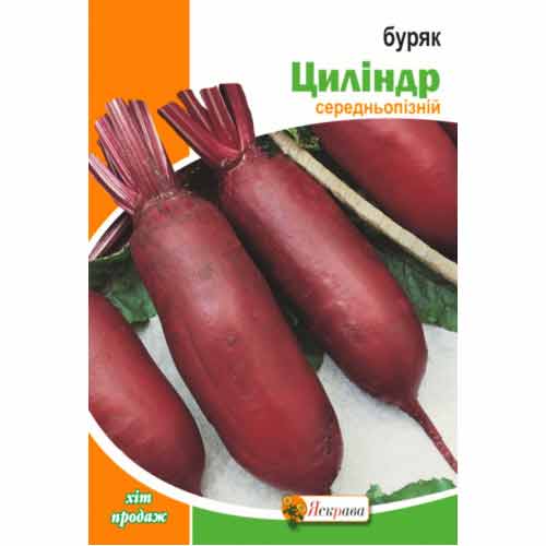 Свекла столовая Цилиндра Яскрава рисунок 1 артикул 99822