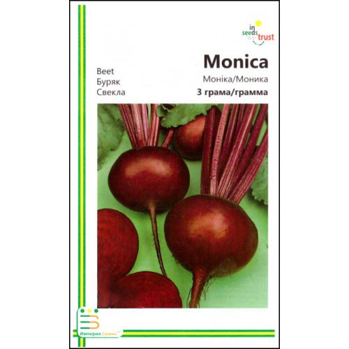 Буряк столовий Моніка Імперія насіння зображення 1 артикул 95439