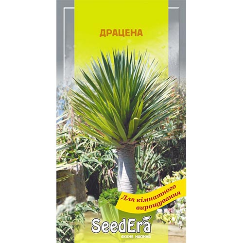 Драцена Seedera, семена артикул фото 1 Драцена Seedera, семена рисунок 1 артикул 72164