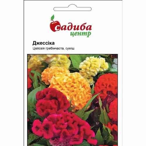 Целозия гребенчатая Джессика, смесь окрасок Садыба центр рисунок 1 артикул 72786