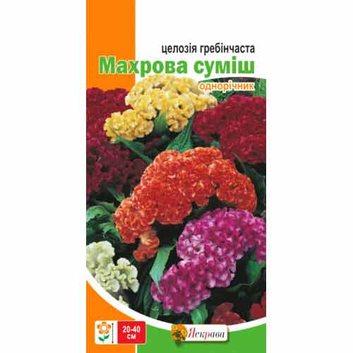 Целозия гребенчатая Махровая, смесь окрасок Яскрава артикул фото 1 Целозия гребенчатая Махровая, смесь окрасок Яскрава рисунок 1 артикул 72635