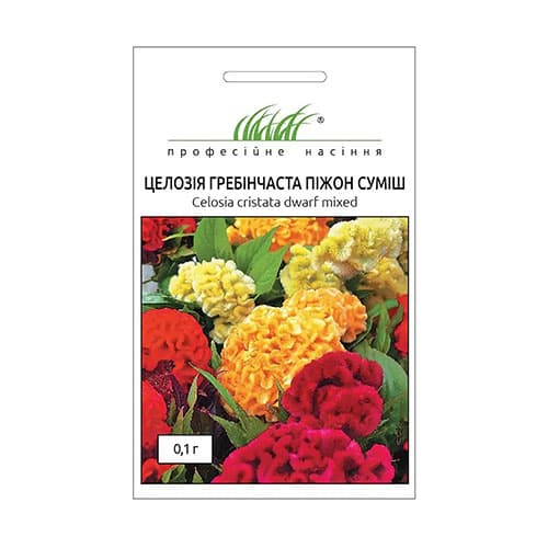 Целозія гребінчаста Піжон, суміш забарвлень Професійне насіння зображення 1 артикул 90317