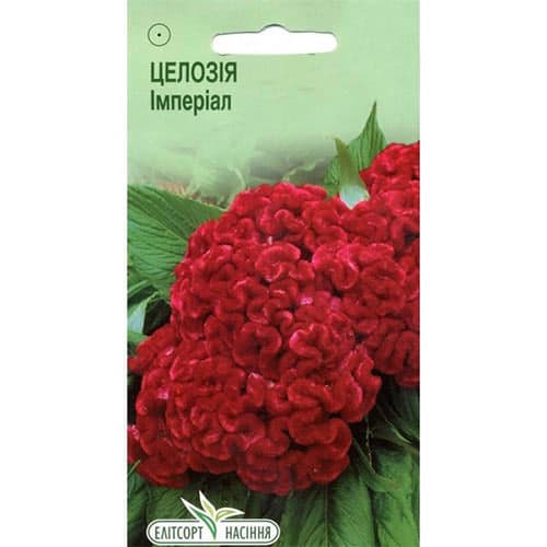 Целозия гребенчатая Империал Элитсорт рисунок 1 артикул 95128
