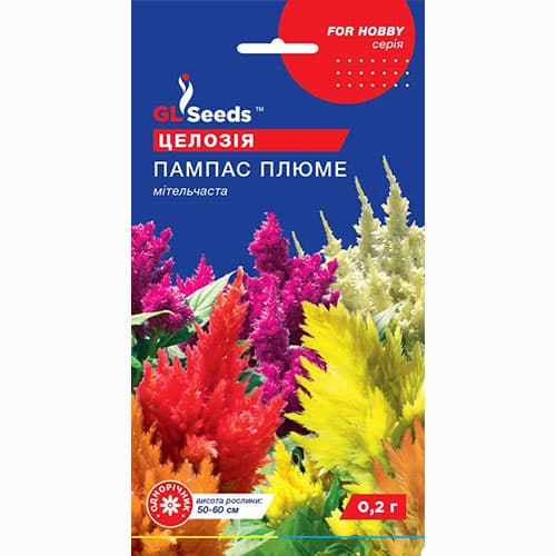 Целозия Пампас Плюме GL Seeds рисунок 1 артикул 99547