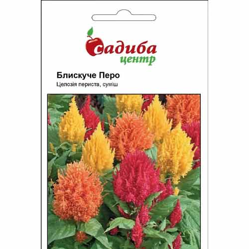 Целозия перистая Блестяще перо, смесь окрасок Садыба центр рисунок 1 артикул 72787