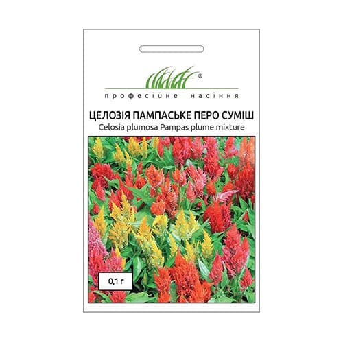 Целозия перистая Пампасское перо, смесь окрасок рисунок 1 артикул 72634